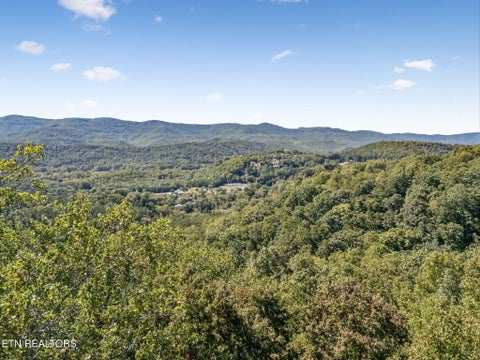 Tiny photo for 1813 Oak Grove Rd, Rocky Top, TN 37769 (MLS # 1357687)