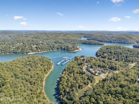 Tiny photo for 1813 Oak Grove Rd, Rocky Top, TN 37769 (MLS # 1357687)