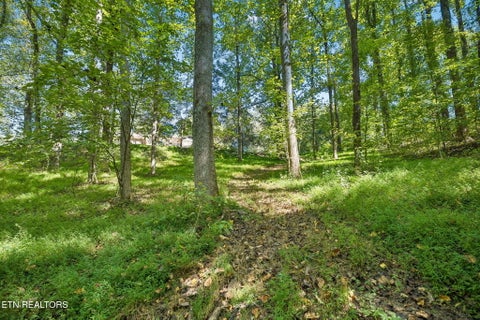 Tiny photo for 1813 Oak Grove Rd, Rocky Top, TN 37769 (MLS # 1357687)