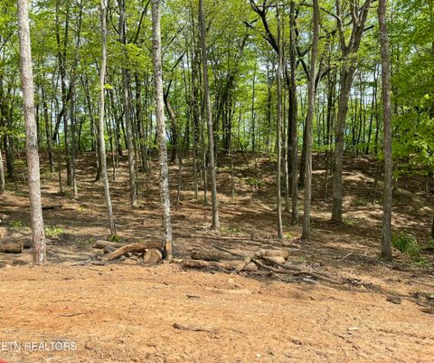 Tiny photo for 150 Timber Oaks Lane, Pioneer, TN 37847 (MLS # 1330047)