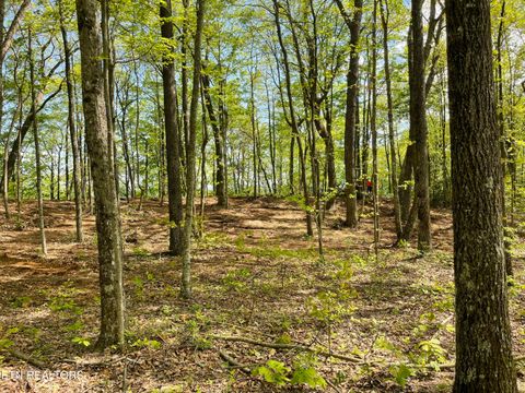 Tiny photo for 150 Timber Oaks Lane, Pioneer, TN 37847 (MLS # 1330047)