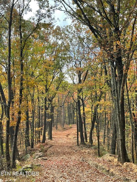 Photo of 150 Timber Oaks Lane, Pioneer, TN 37847 (MLS # 1330047)