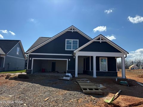 Photo of 375 Trillium Trail Tr, Lenoir City, TN 37771 (MLS # 1332211)