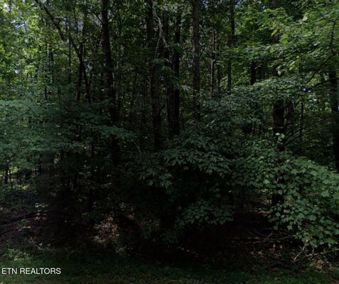 70 CALDERWOOD CIR, CROSSVILLE, TN 38558 - Image 4a93dfdff75150f929a175f9eea13b5e/1376752510