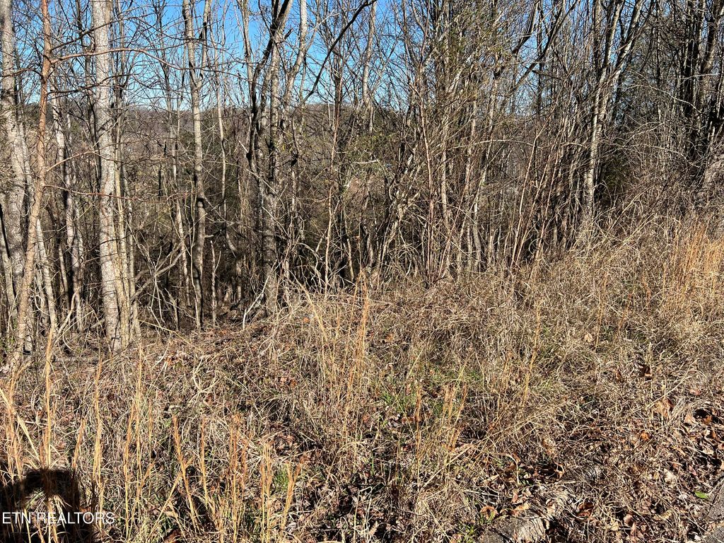 Photo of Baldwin View Drive, New Market, TN 37820 (MLS # 1326350)