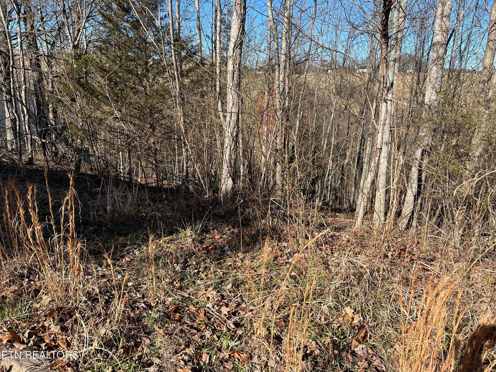 Photo of Baldwin View Drive, New Market, TN 37820 (MLS # 1326350)