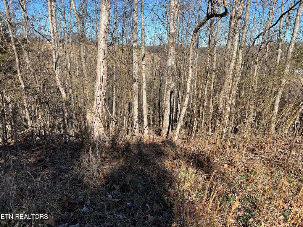 Photo of Baldwin View Drive, New Market, TN 37820 (MLS # 1326350)