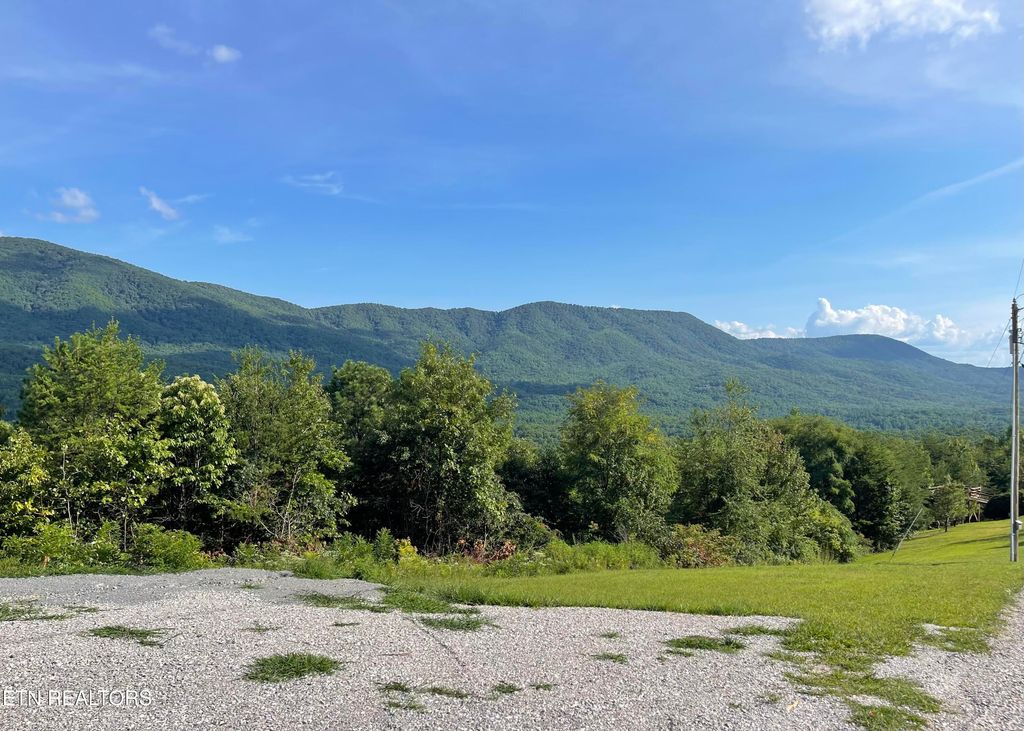 Photo of 457 Smithfield Rd, Tellico Plains, TN 37385 (MLS # 1273014)