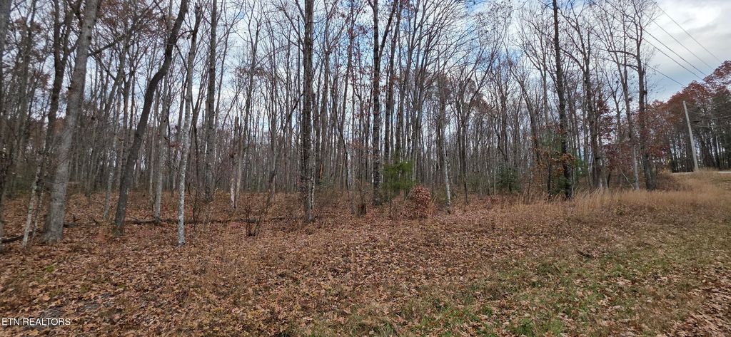Photo of Rocky Top Rd, Monterey, TN 38574 (MLS # 1322693)