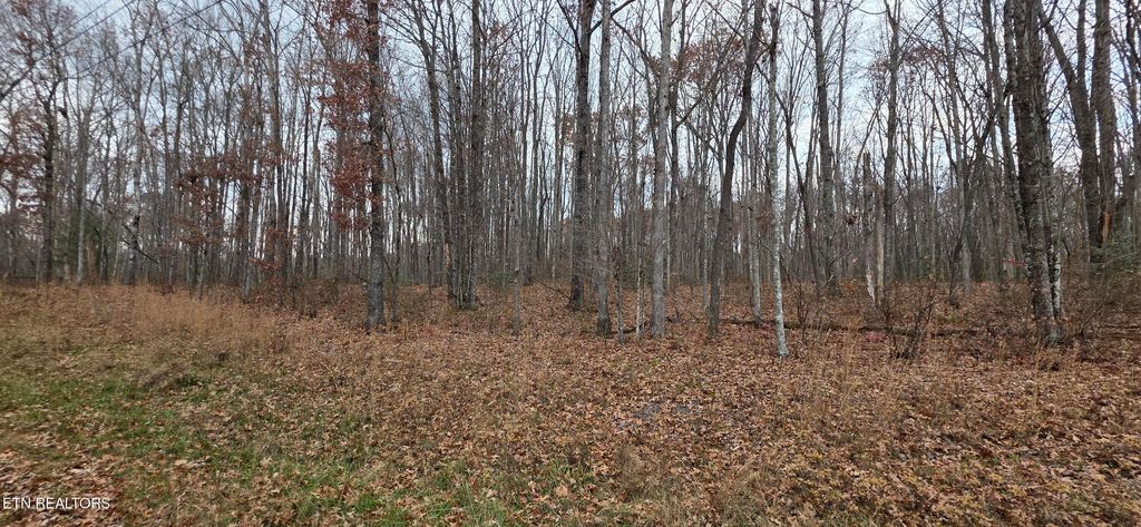 Photo of Rocky Top Rd, Monterey, TN 38574 (MLS # 1322693)