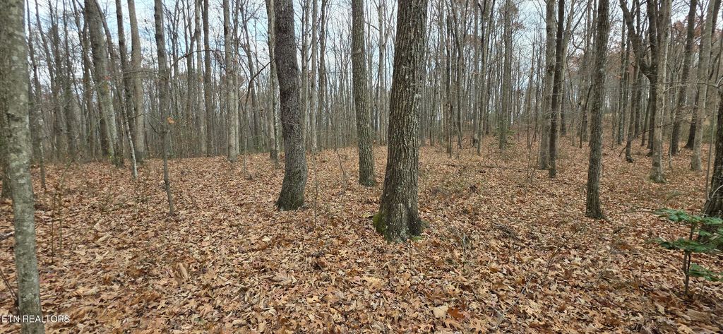 Photo of Rocky Top Rd, Monterey, TN 38574 (MLS # 1322693)