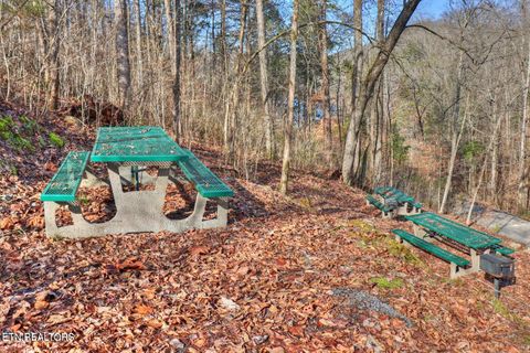 Tiny photo for 172 Saddleridge Drive, Speedwell, TN 37870 (MLS # 1317639)