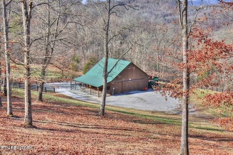 Tiny photo for 172 Saddleridge Drive, Speedwell, TN 37870 (MLS # 1317639)