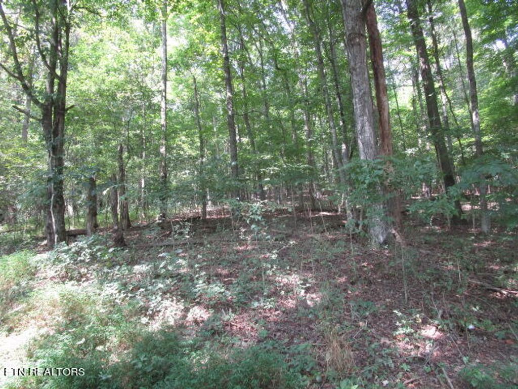 Photo of Cabbage Rd, Blaine, TN 37709 (MLS # 1276115)