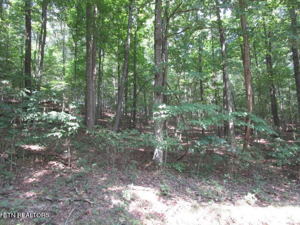 Photo of Cabbage Rd, Blaine, TN 37709 (MLS # 1276115)