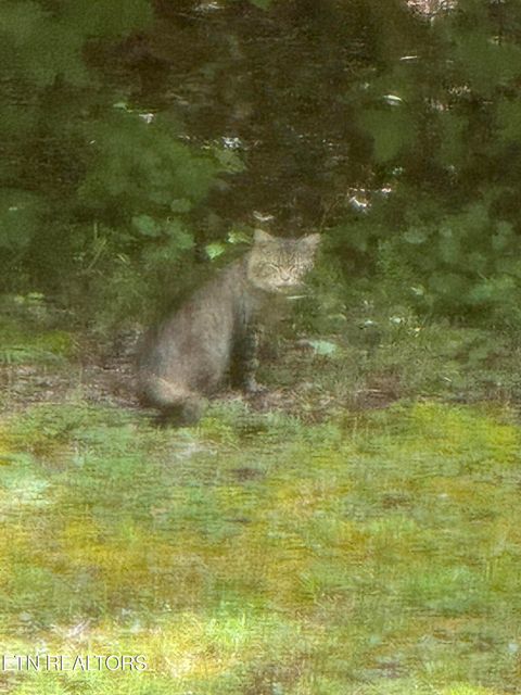 Tiny photo for 1474 Black Oak Way, Sevierville, TN 37862 (MLS # 1333780)