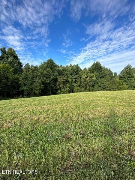 Knob Creek Road