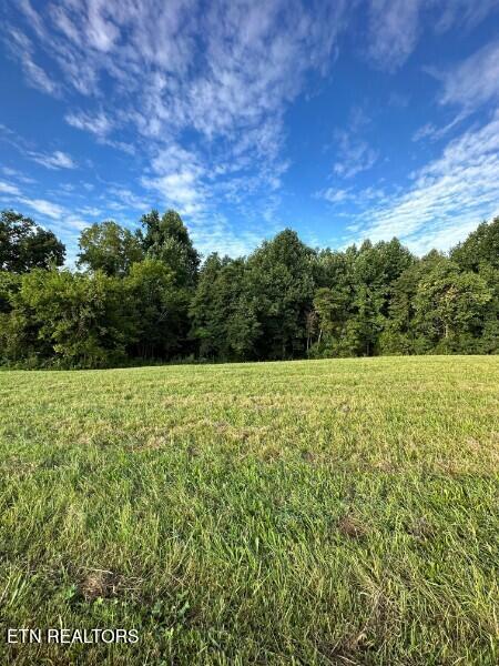 Knob Creek Road