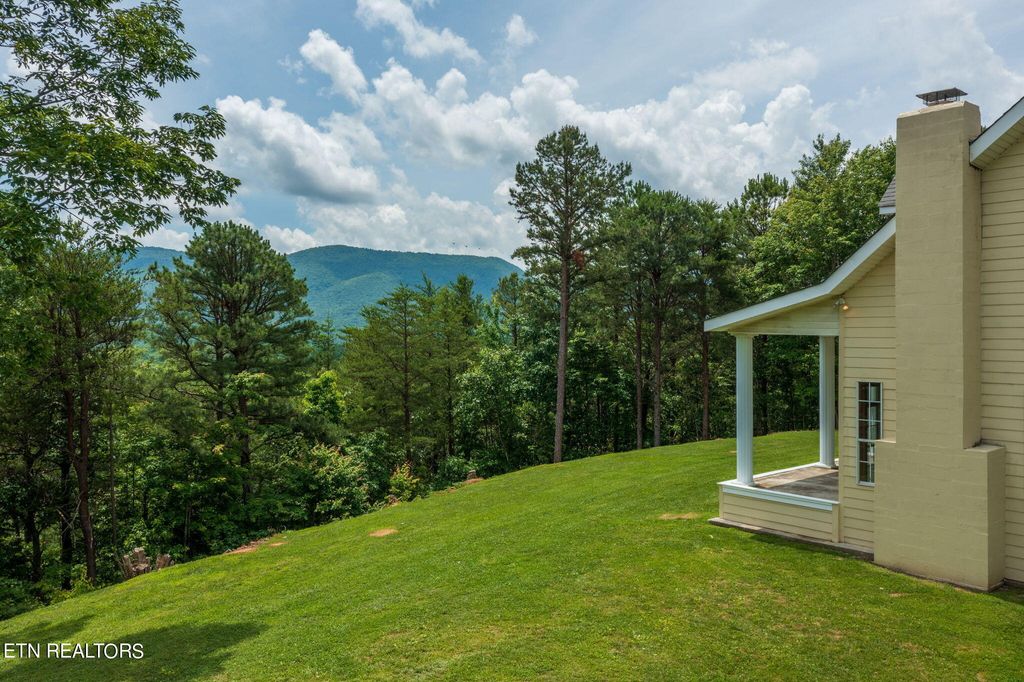 Photo of 201 Payne Mountain Rd, Tellico Plains, TN 37385 (MLS # 1265290)