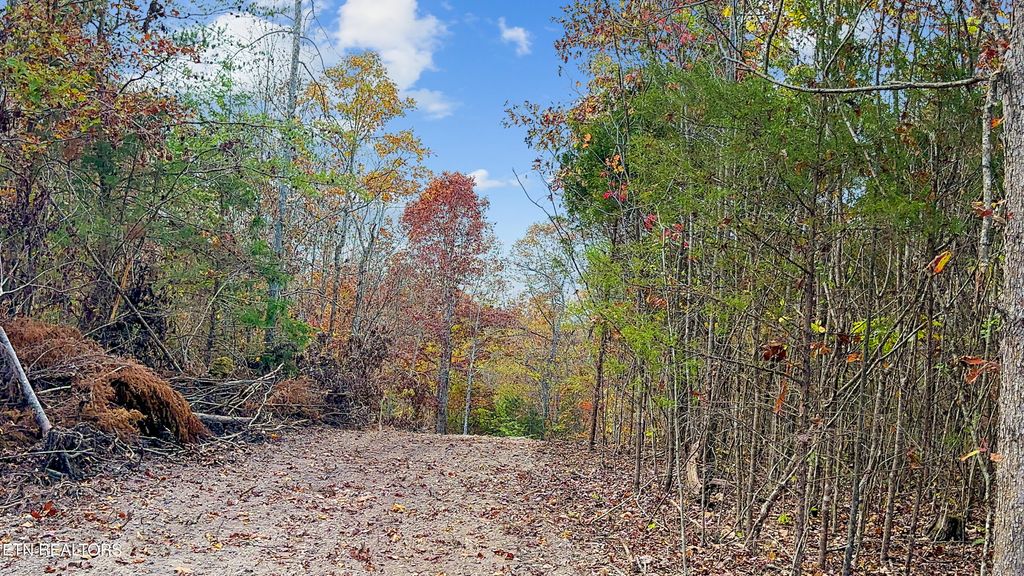 Photo of 598 Myers Rd, Kingston, TN 37763 (MLS # 1281200)