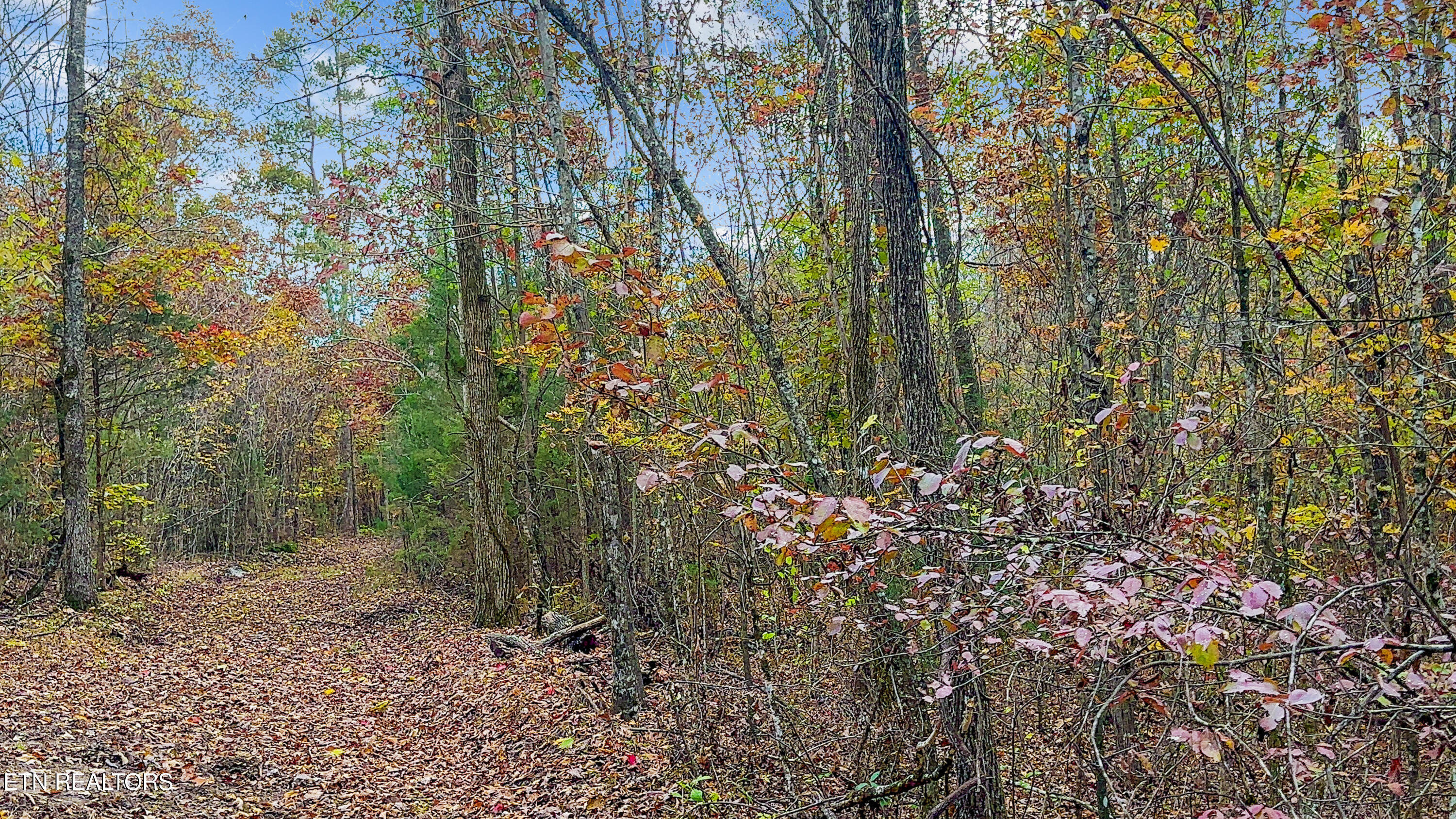 598 Myers Rd