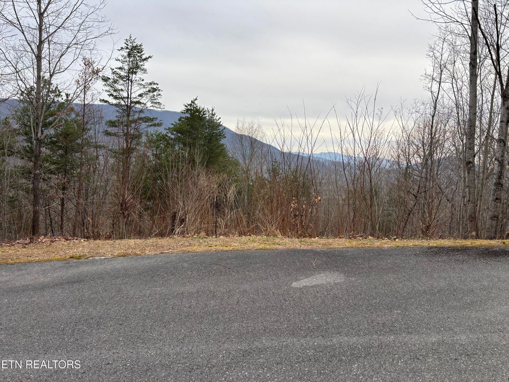 Photo of 19 Dogwood Ridge Way, Sevierville, TN 37862 (MLS # 1325895)