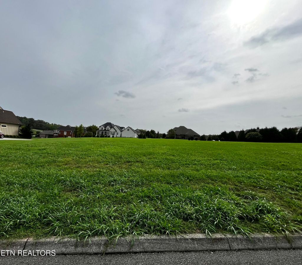 Photo of 3641 Calumet Drive, Louisville, TN 37777 (MLS # 1272434)