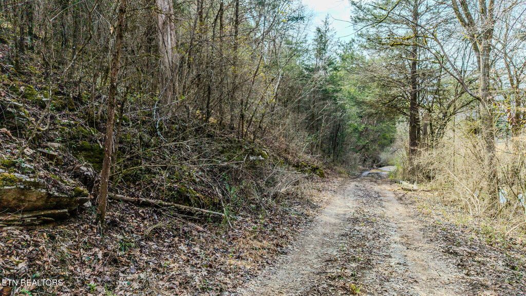 Photo of 9406 Heiskell Rd, Heiskell, TN 37754 (MLS # 1330753)