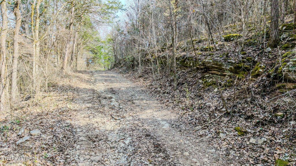 Photo of 9406 Heiskell Rd, Heiskell, TN 37754 (MLS # 1330753)