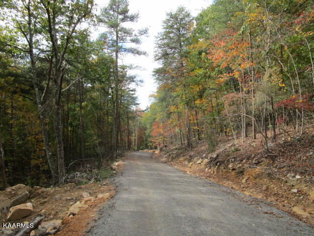 Poor Valley Rd