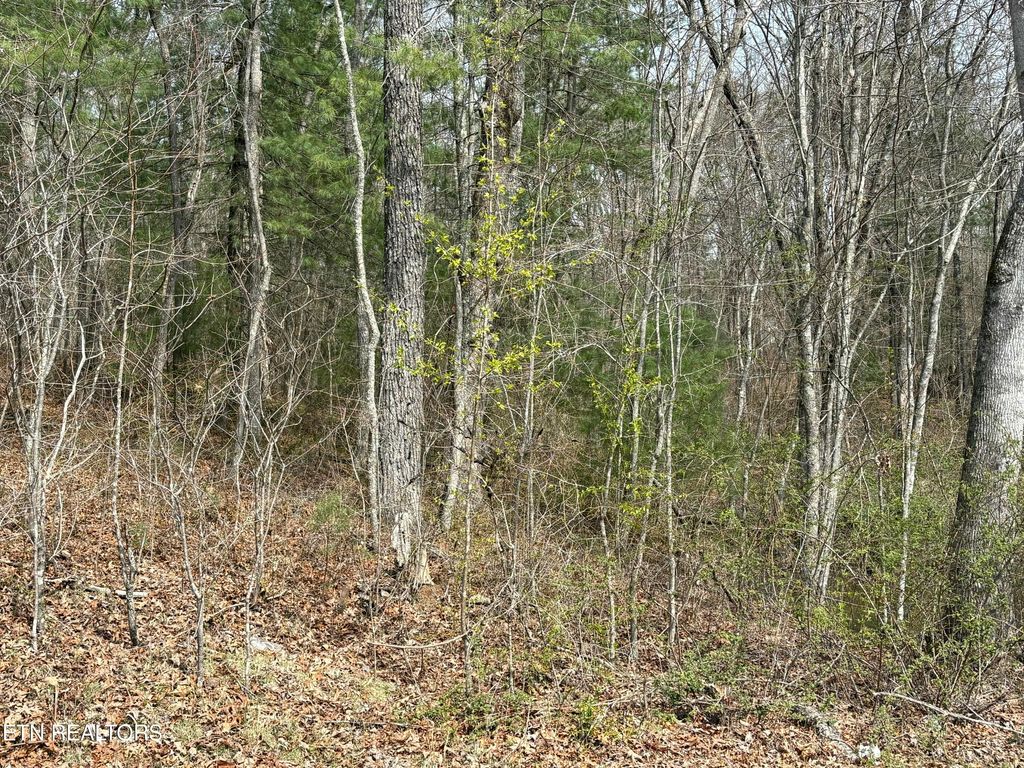 Photo of Brown Creek Drive, Crossville, TN 38571 (MLS # 1333753)