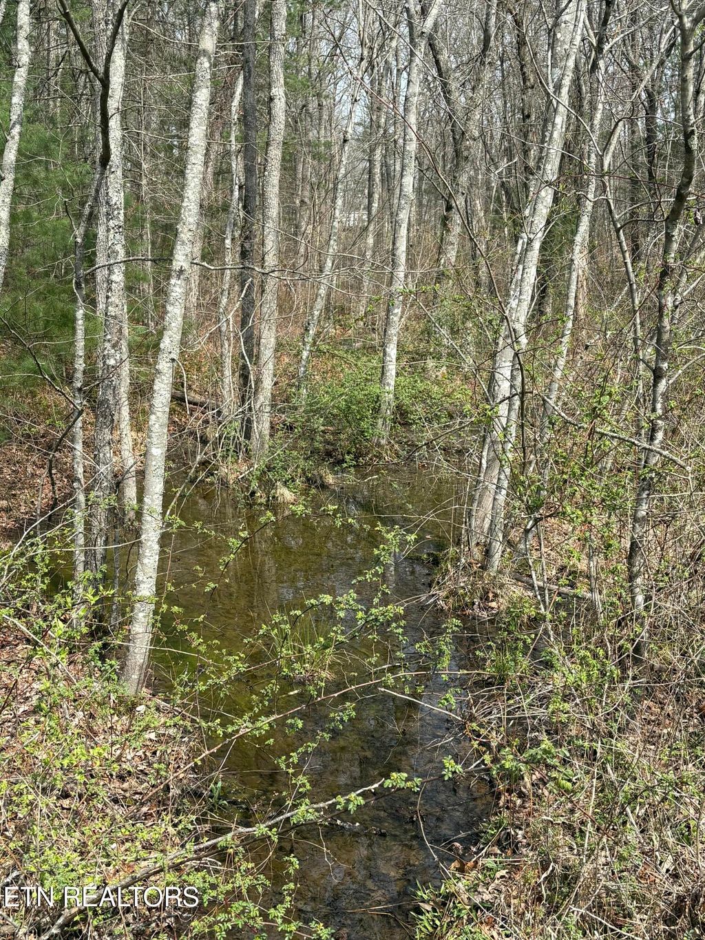 Photo of Brown Creek Drive, Crossville, TN 38571 (MLS # 1333753)