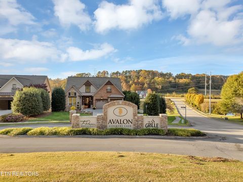 Tiny photo for 430 Oak Chase Blvd, Lenoir City, TN 37772 (MLS # 1321983)