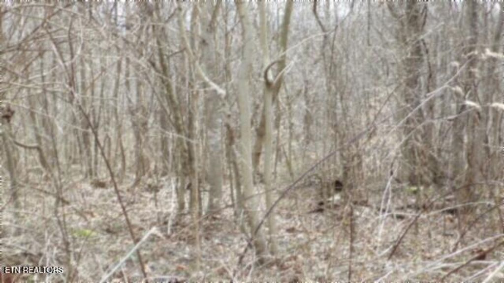 Photo of 551 Beaver Lane, Gainesboro, TN 38562 (MLS # 1334763)