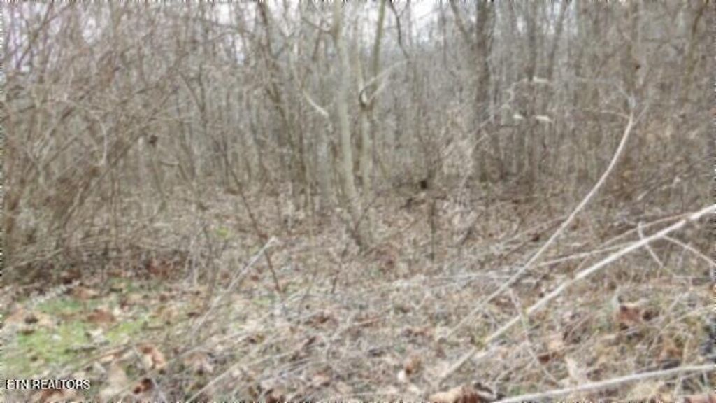 Photo of 551 Beaver Lane, Gainesboro, TN 38562 (MLS # 1334763)