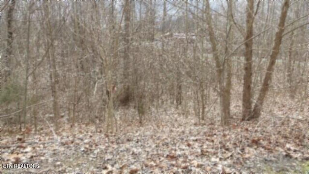 Photo of 551 Beaver Lane, Gainesboro, TN 38562 (MLS # 1334763)