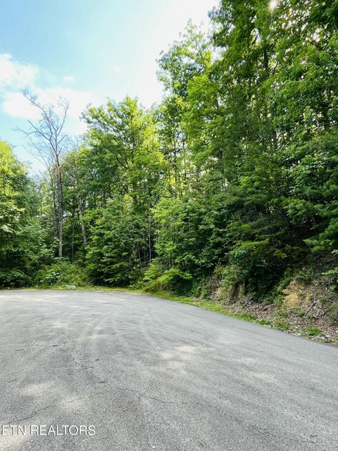 Redtail Rd Sevierville TN 37862