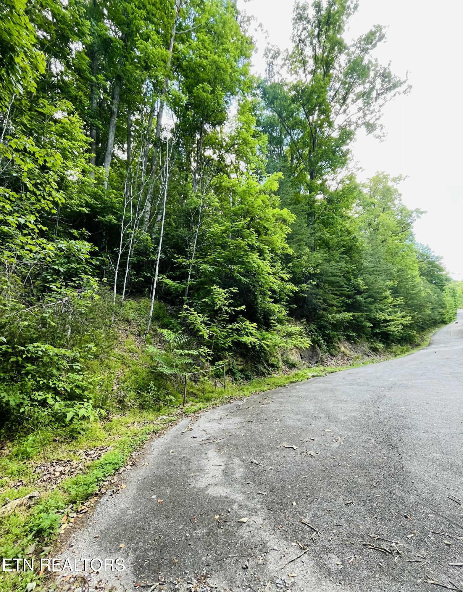 Redtail Rd