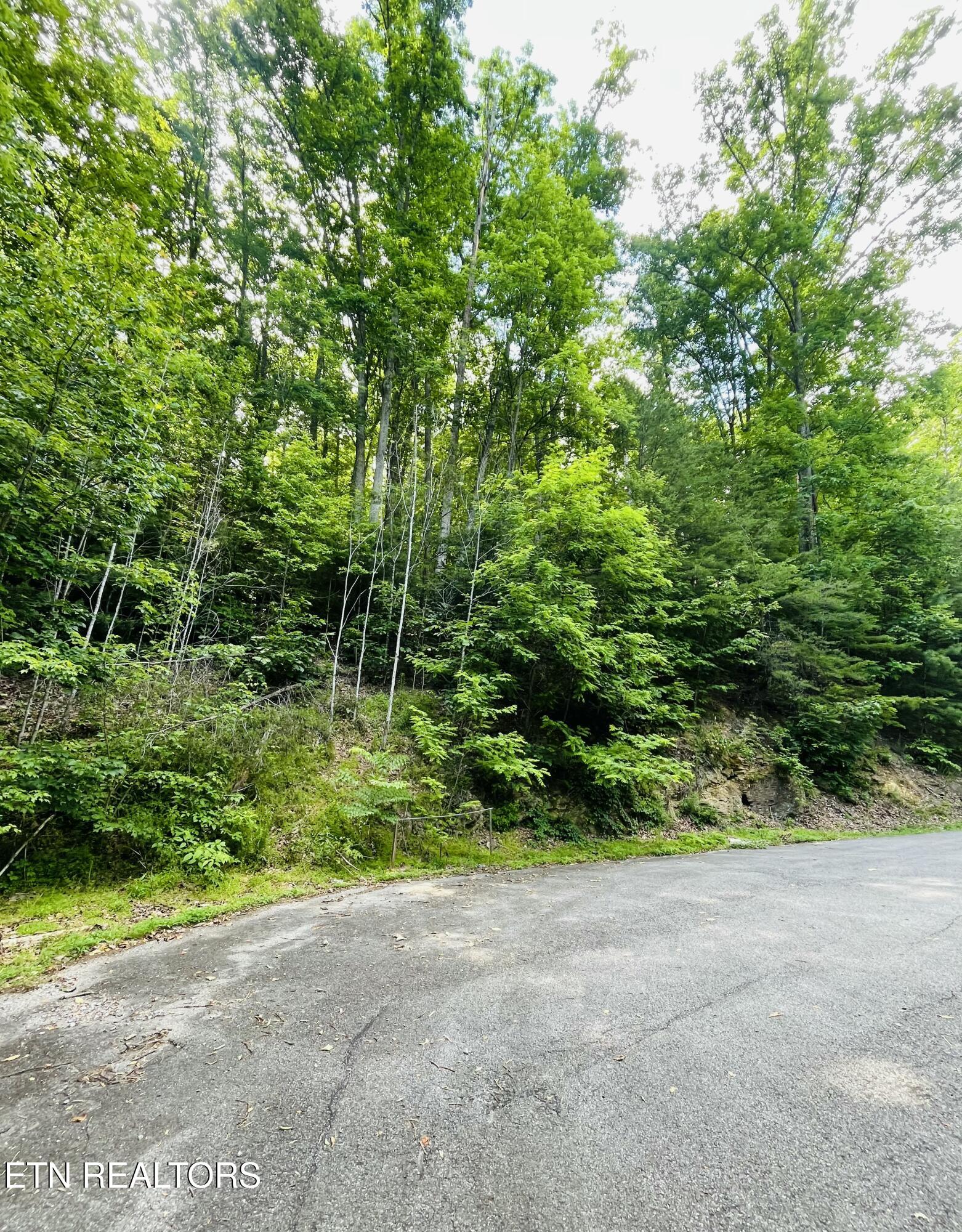 Redtail Rd