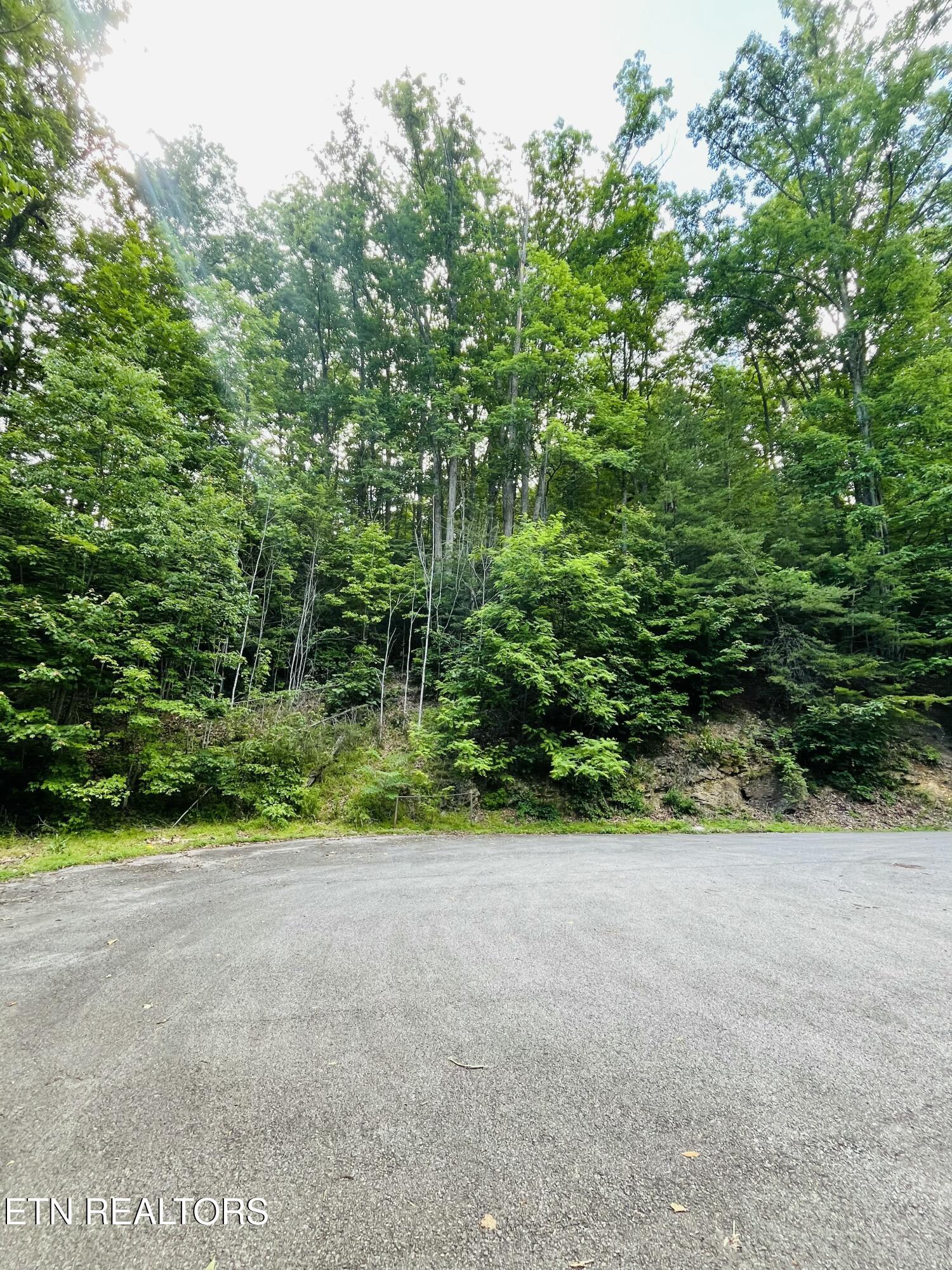 Redtail Rd