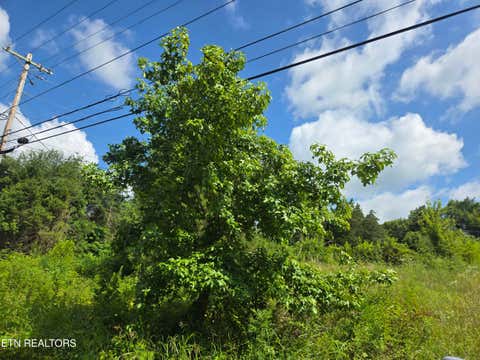 Tiny photo for 1882 Highway 25-70, New Market, TN 37820 (MLS # 1347688)