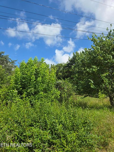 Tiny photo for 1882 Highway 25-70, New Market, TN 37820 (MLS # 1347688)