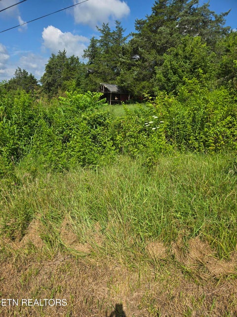 Tiny photo for 1882 Highway 25-70, New Market, TN 37820 (MLS # 1347688)
