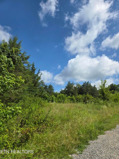 Tiny photo for 1882 Highway 25-70, New Market, TN 37820 (MLS # 1347688)
