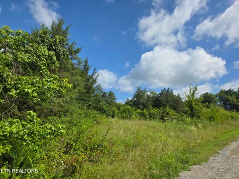 Tiny photo for 1882 Highway 25-70, New Market, TN 37820 (MLS # 1347688)