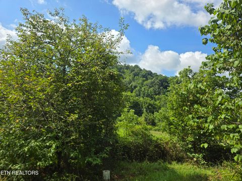 Tiny photo for 1882 Highway 25-70, New Market, TN 37820 (MLS # 1347688)