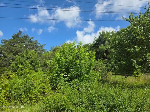 Tiny photo for 1882 Highway 25-70, New Market, TN 37820 (MLS # 1347688)