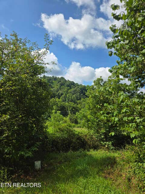 Tiny photo for 1882 Highway 25-70, New Market, TN 37820 (MLS # 1347688)