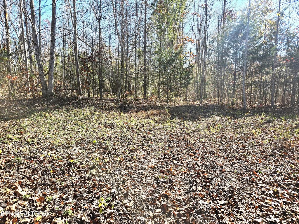 Photo of TBD Walker Road Rd, Sharps Chapel, TN 37866 (MLS # 1282899)