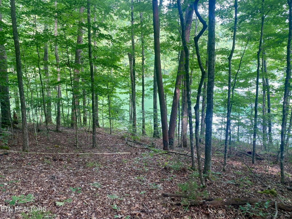 Photo of 130 Hickory Pointe Lane, Maynardville, TN 37807 (MLS # 1291964)